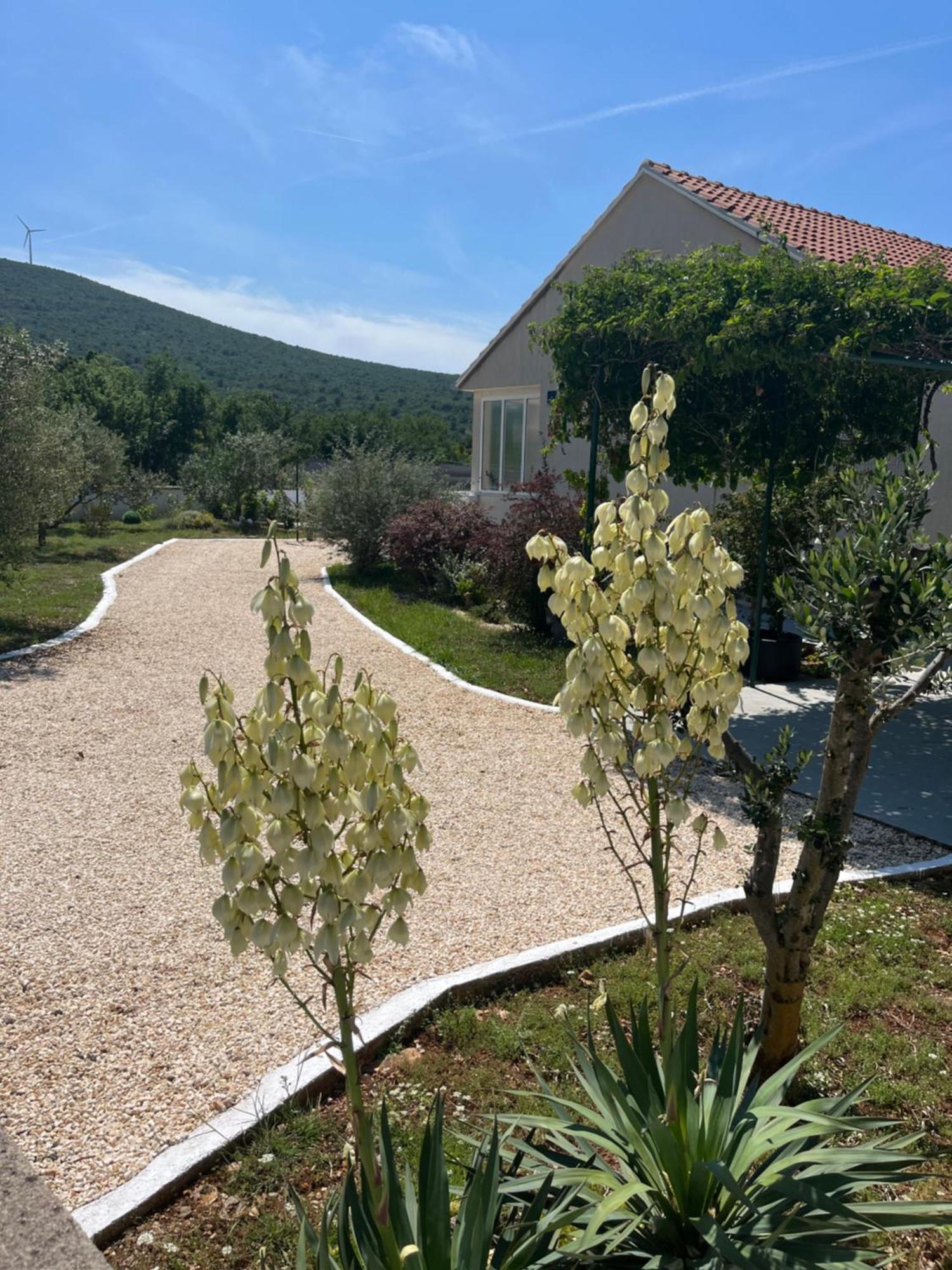 Mediterranean Olive Waterfallskrka-Croatia Villa Gulin Kültér fotó